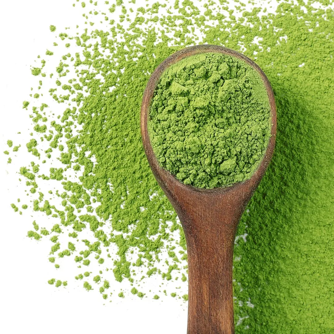 Green Matcha 16oz | Enoki Cafe