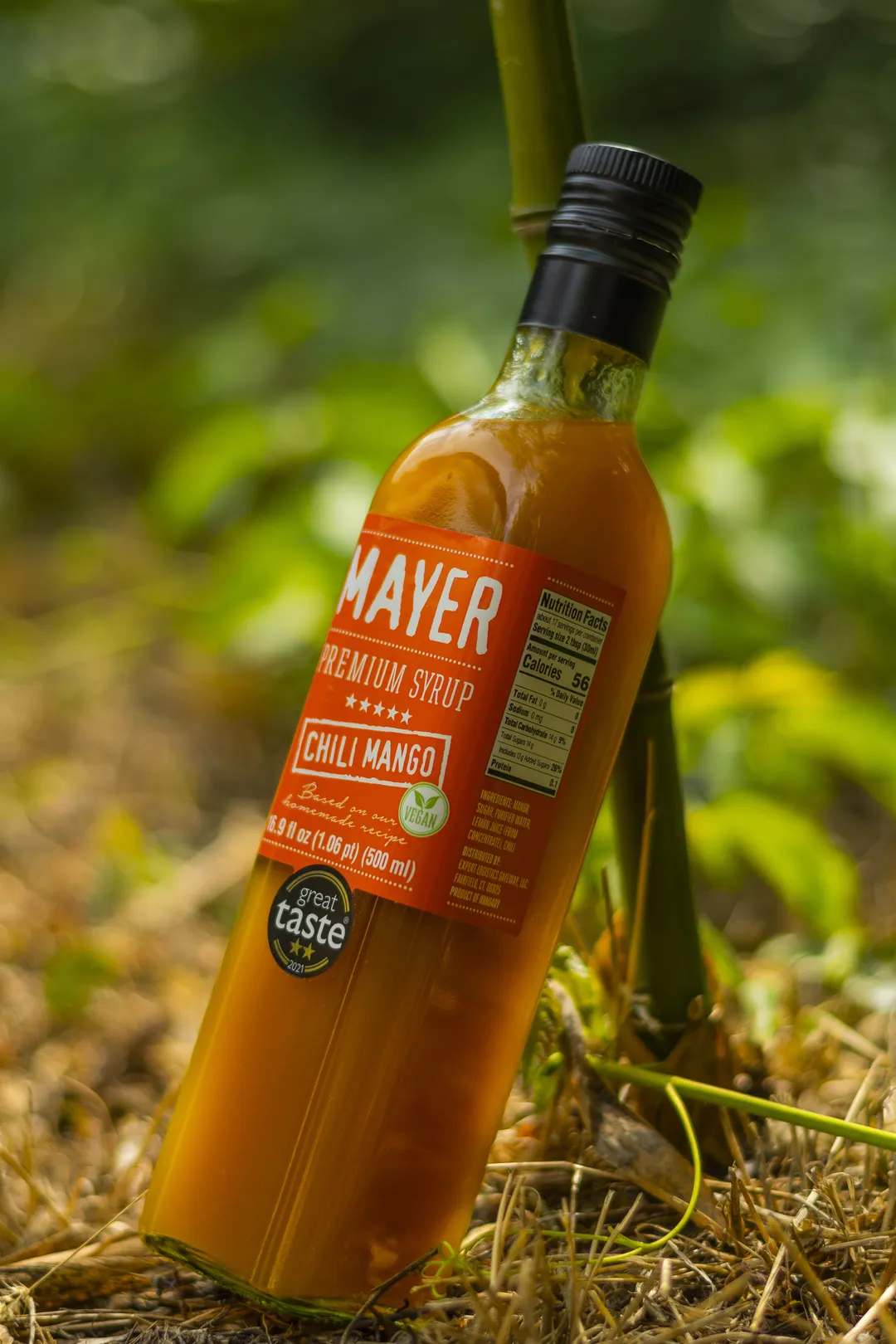 Mayer Premium Chili Mango Handcrafted syrup - International Award-Winner (500 ml)