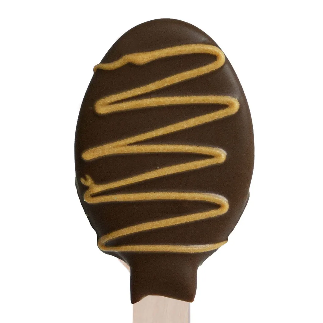 Salted Caramel Chocolatey-Dipped Spoons variant