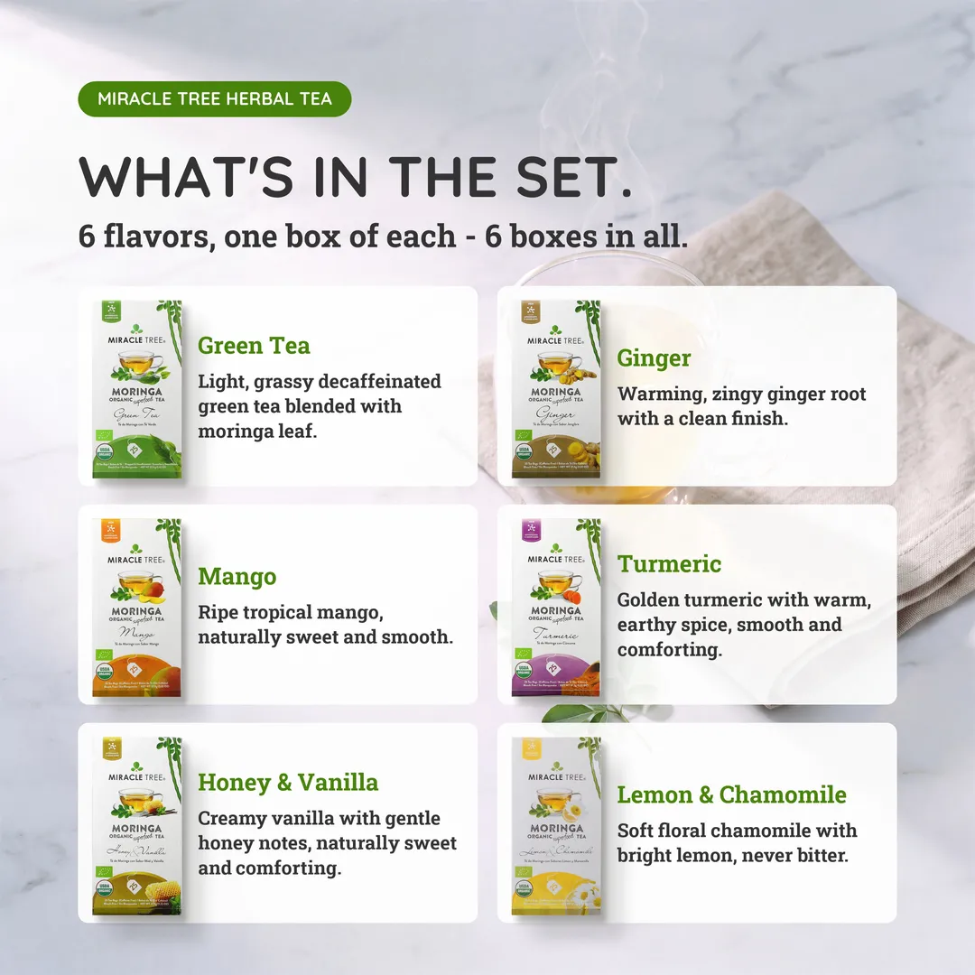Herbal Moringa Tea Starter Set, 6 Flavors
