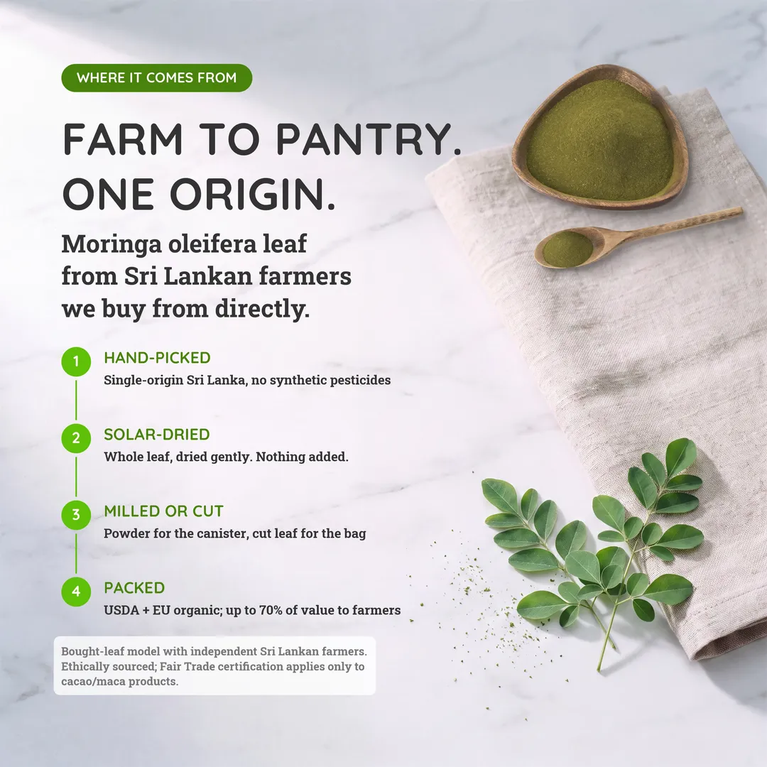 Organic Moringa Tea: Green Tea