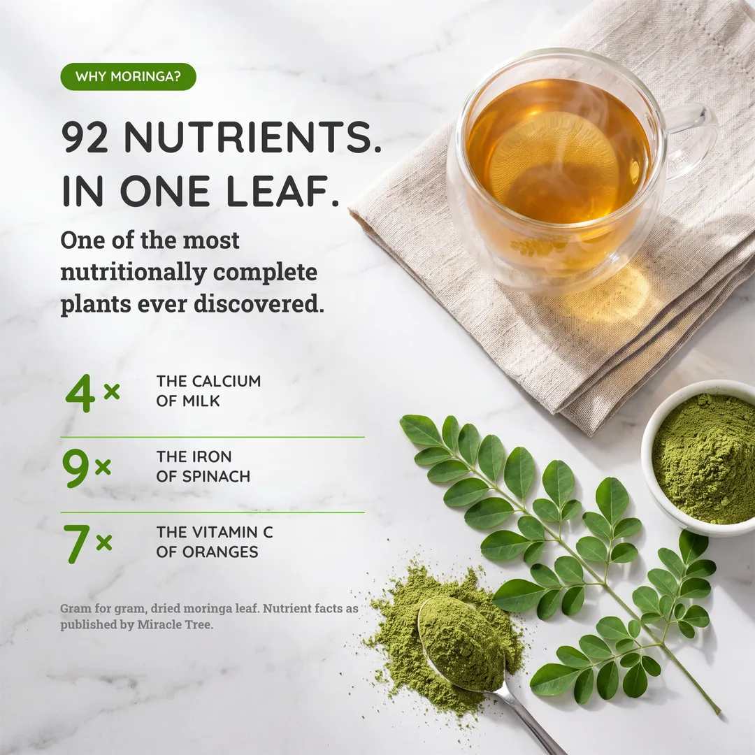 Organic Moringa Tea: Green Tea