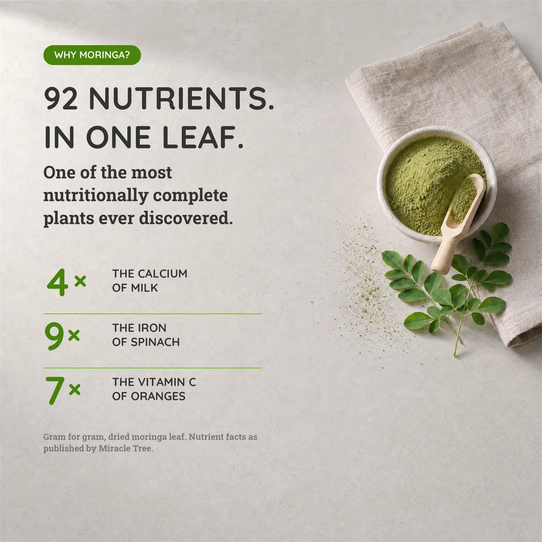 8 oz Organic Moringa Powder