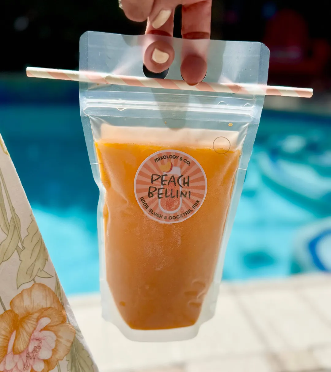 Peach Bellini Champagne Cocktail Mix Powder Slushie Pouch 
