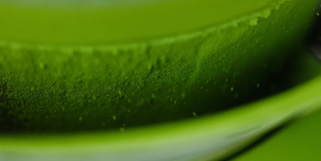 Shirakawa Ceremonial Matcha Green Tea