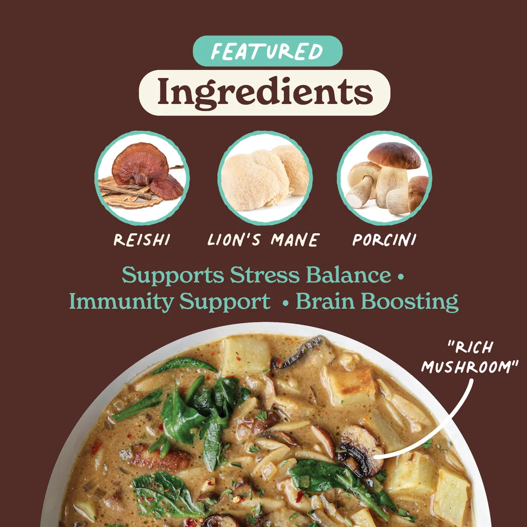 Superfood Instant Broth Powder w/ Reishi and Lions Mane