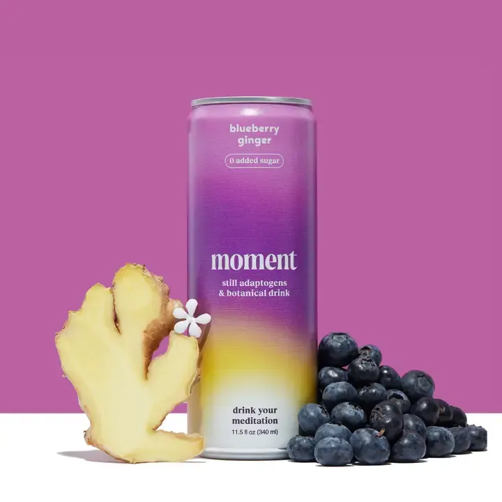 Blueberry Ginger Botanical Water 12-pack 