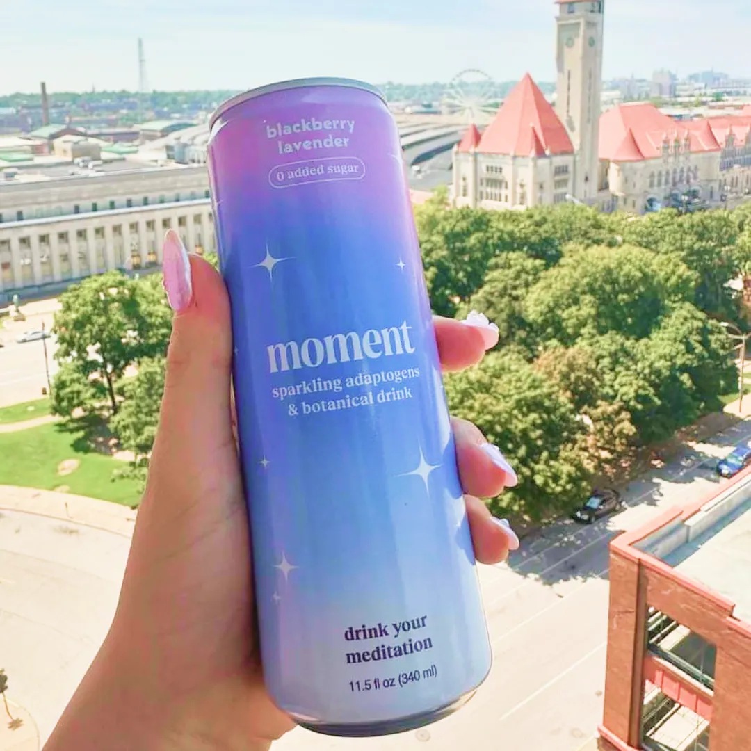 Moment Blackberry Lavender 12-pack Botanical Soda 
