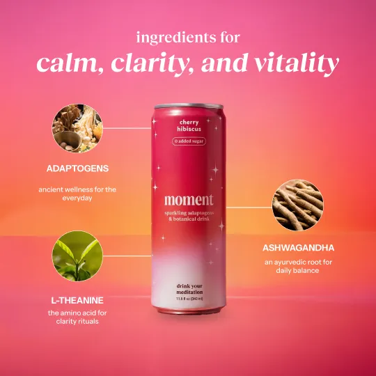 Moment Strawberry Rose 12-pack Botanical Soda 
