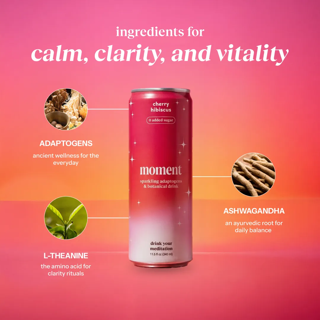 Moment Botanical Water Mixed Variety 18 Pack