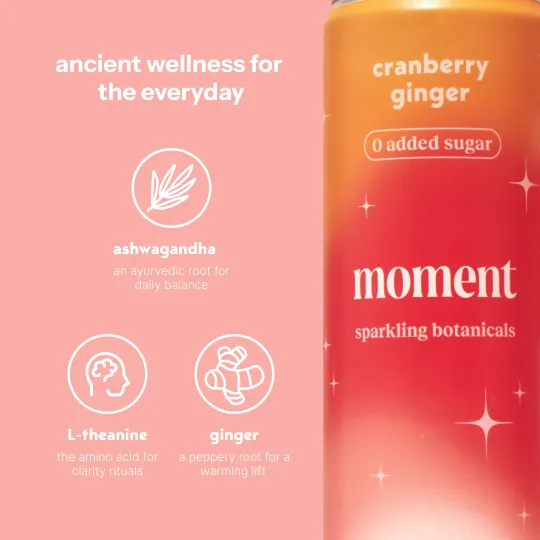 Cranberry Ginger (12 Pack)