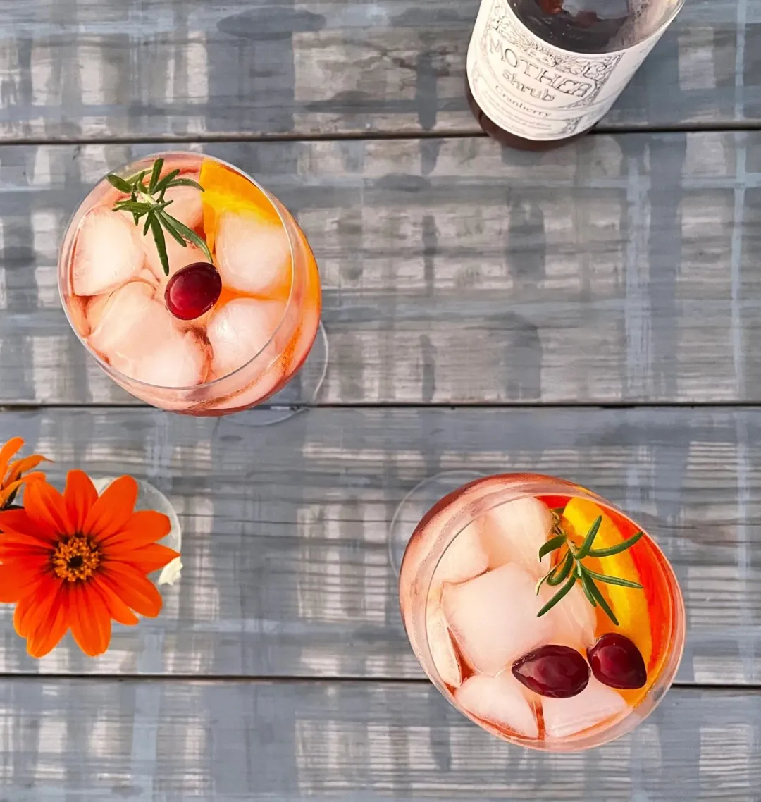 MOTHER shrub Cranberry