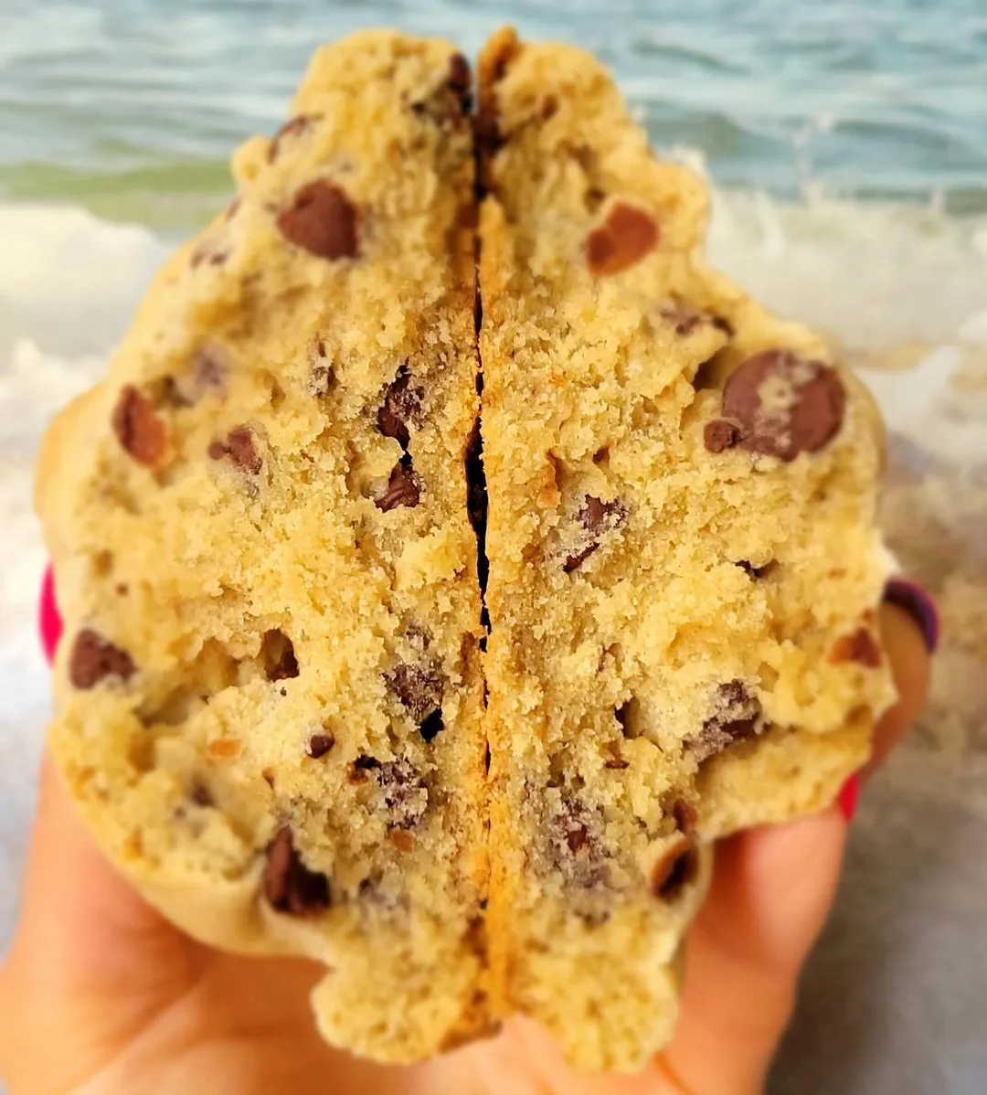 Gluten "Friendly" Chocolate Chip Cookie