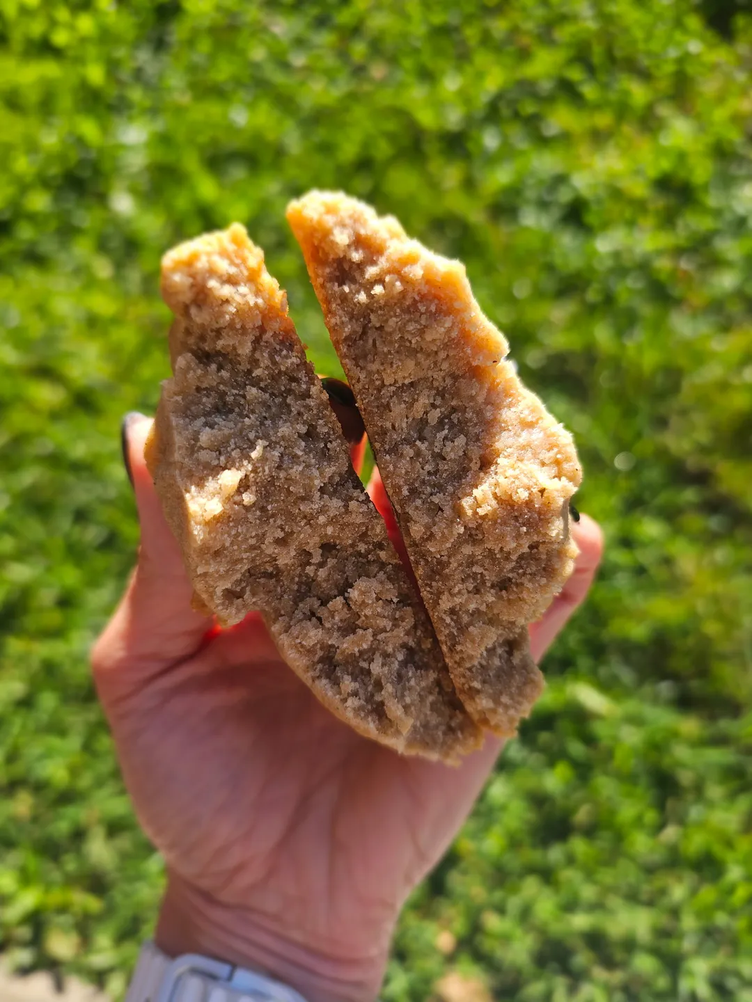 Pumpkin Crumb Cake Cookie