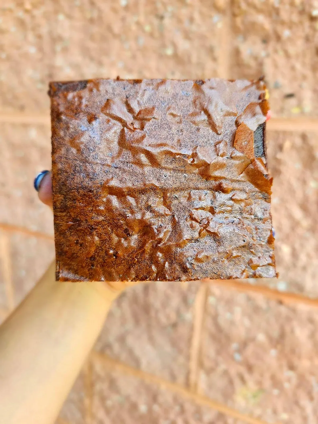 Brownie: Do Me Dirty 