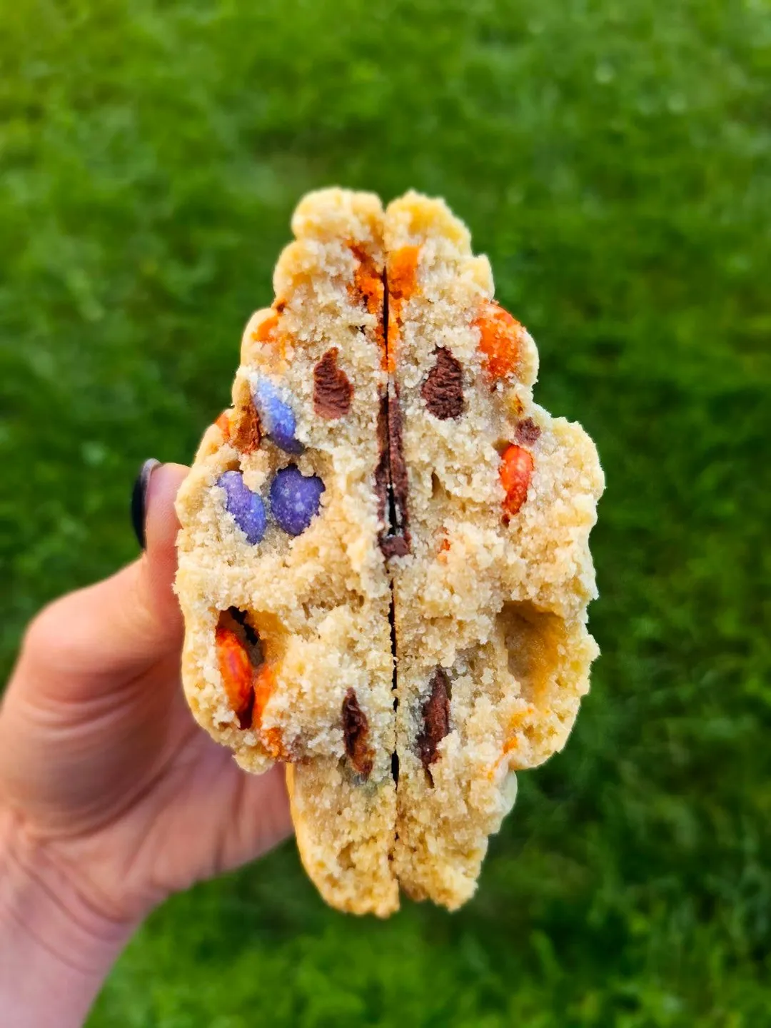 Party Remix (M&M's) Cookie
