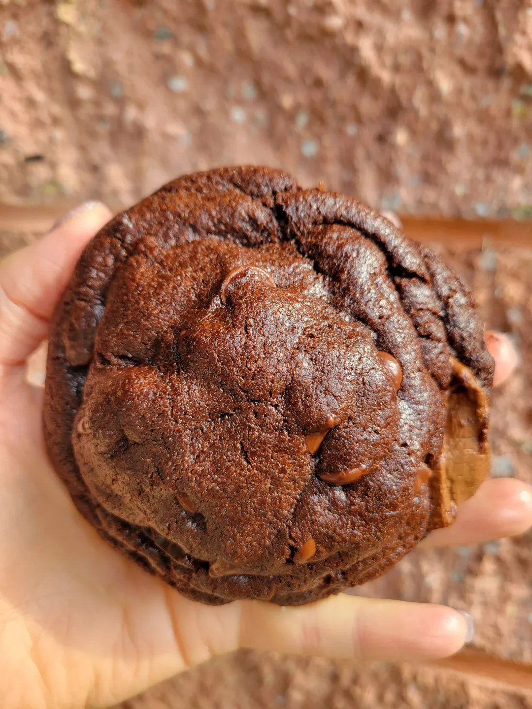 Triple Chocolate Cookie