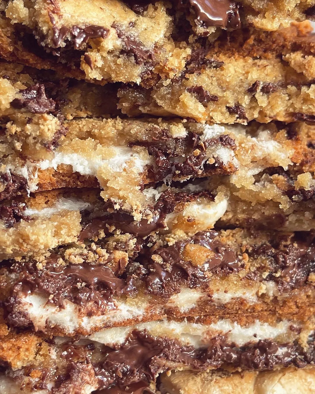 Ooey Gooey S'mores Cookies