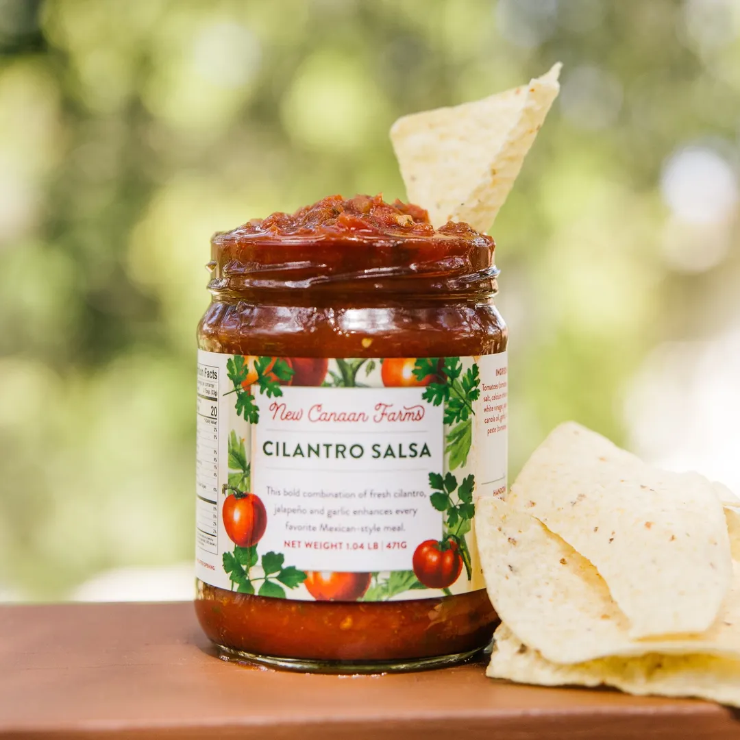 Cilantro Salsa