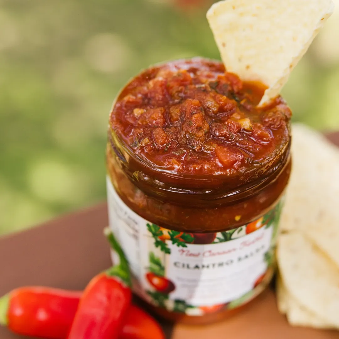 Cilantro Salsa
