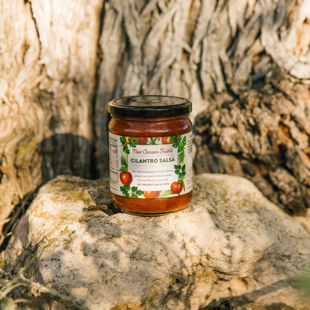 Cilantro Salsa