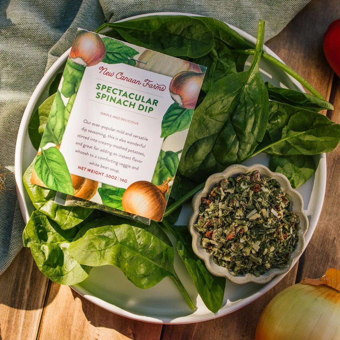 Delicious Dip Mixes