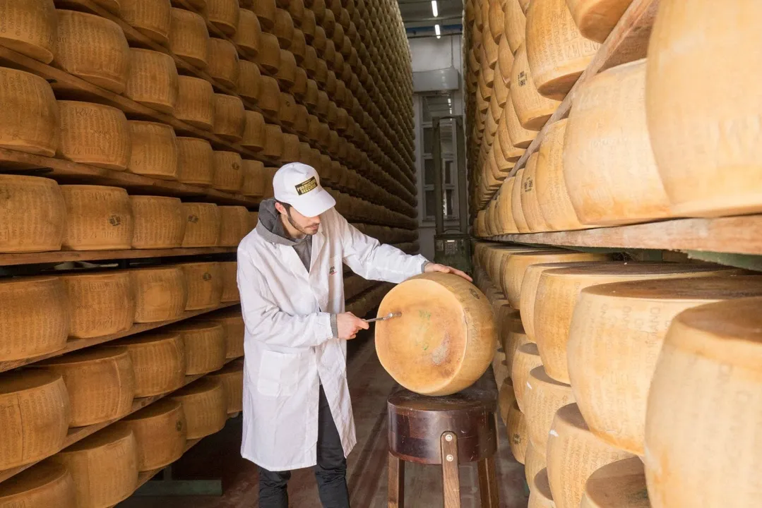 Parmigiano Reggiano DOP Mitica® Di Sola Bruna