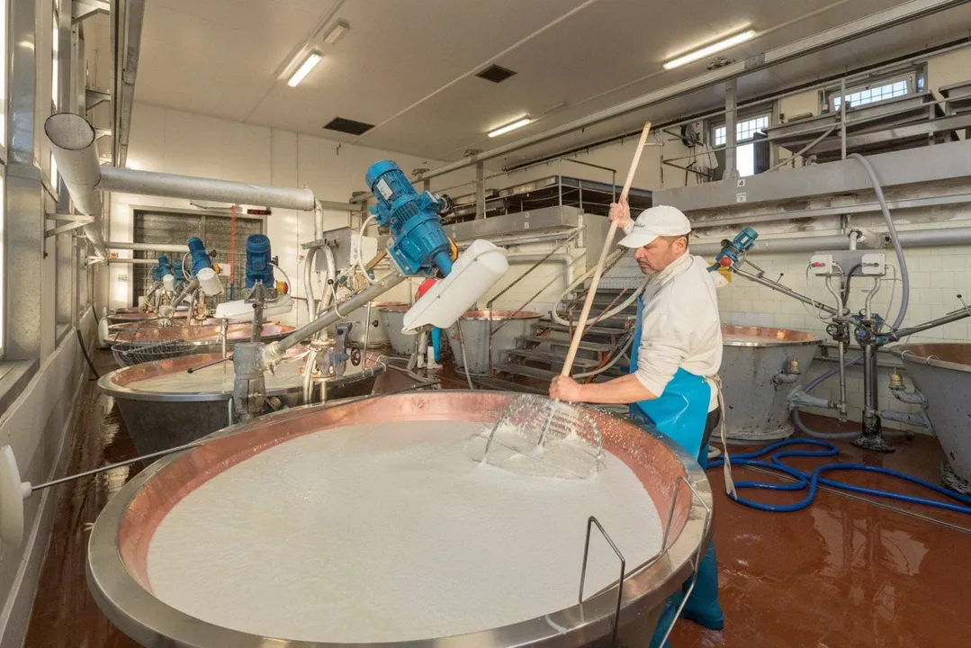 Parmigiano Reggiano DOP Mitica® Di Sola Bruna