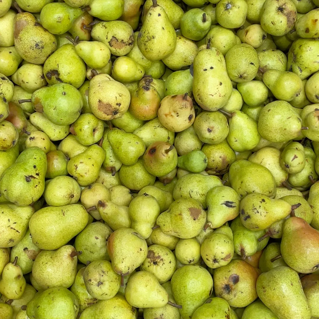 NON2 Caramelised Pear & Kombu [SEASONAL]