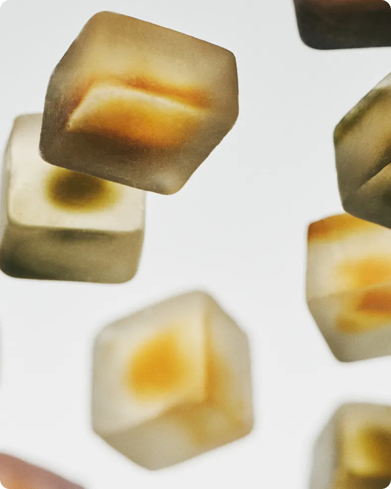 FOCUS MUSHROOM GUMMY DELIGHTS