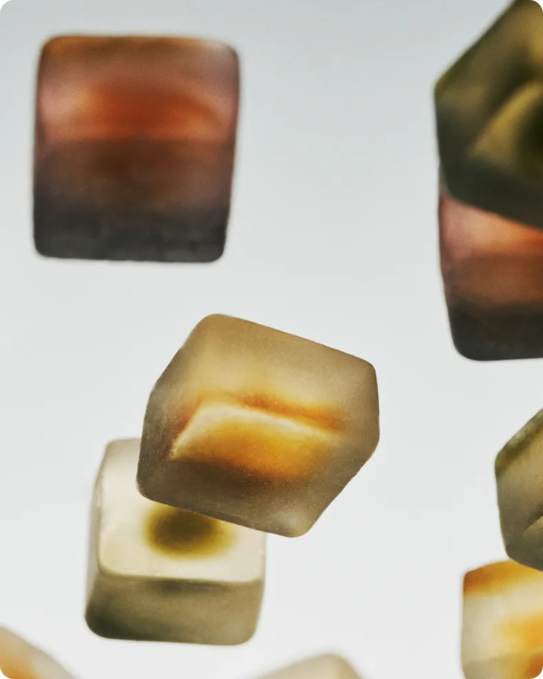 SLEEP MUSHROOM GUMMY DELIGHTS