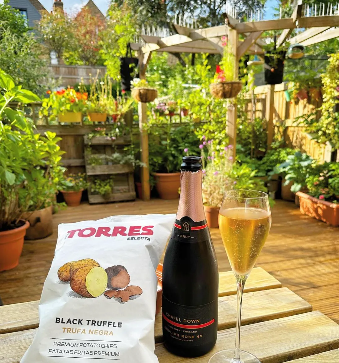 Black Truffle Torres Gourmet Potato Chips 40g | SMALL BAG: SMALL 50g