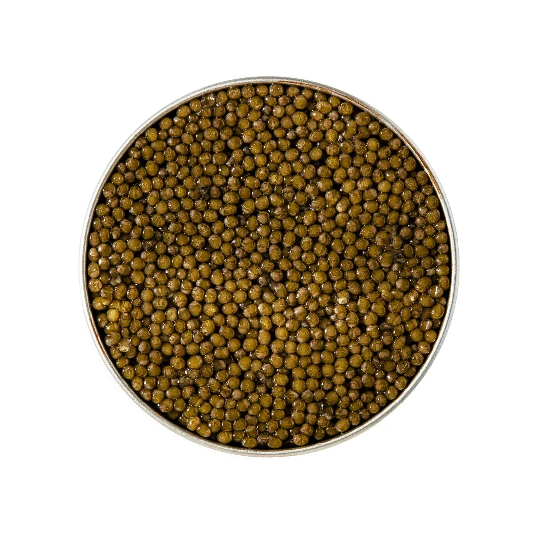 Kaluga Classic Caviar variant