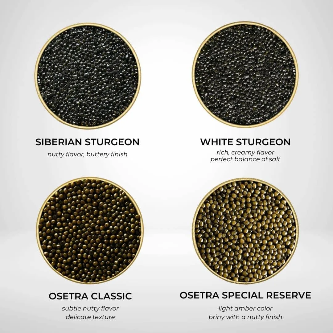 Number One Caviar Starter Set