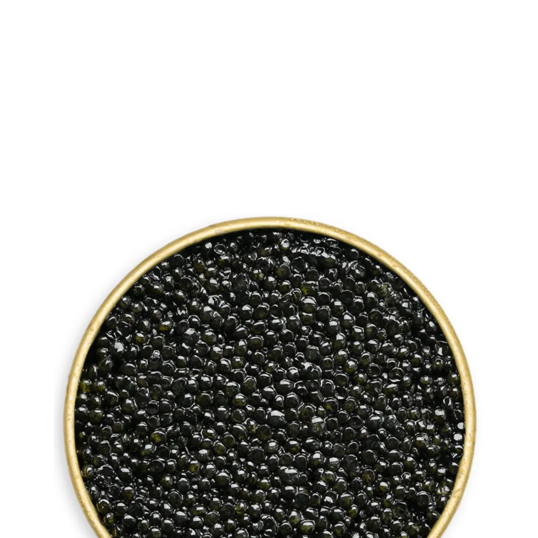 White Sturgeon Caviar