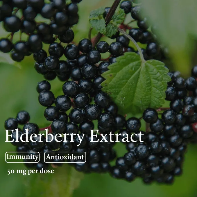 Elderberry Plus. Vit. C Well Elements