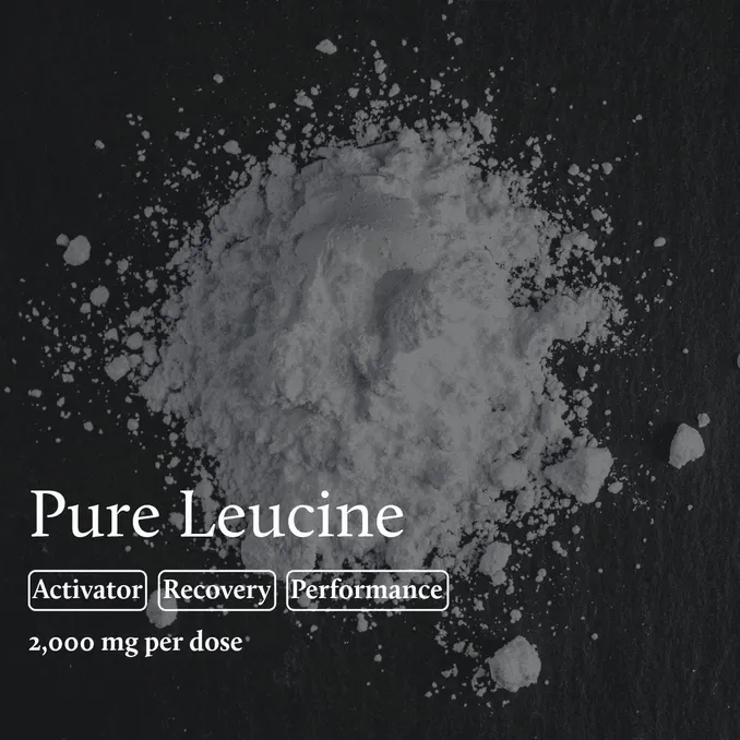 Leucine Active Element