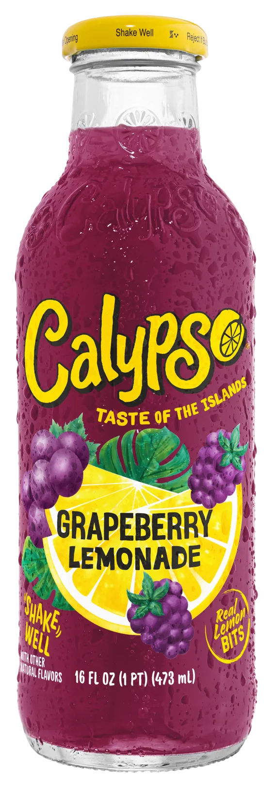 Calypso Lemonades, 16oz variant