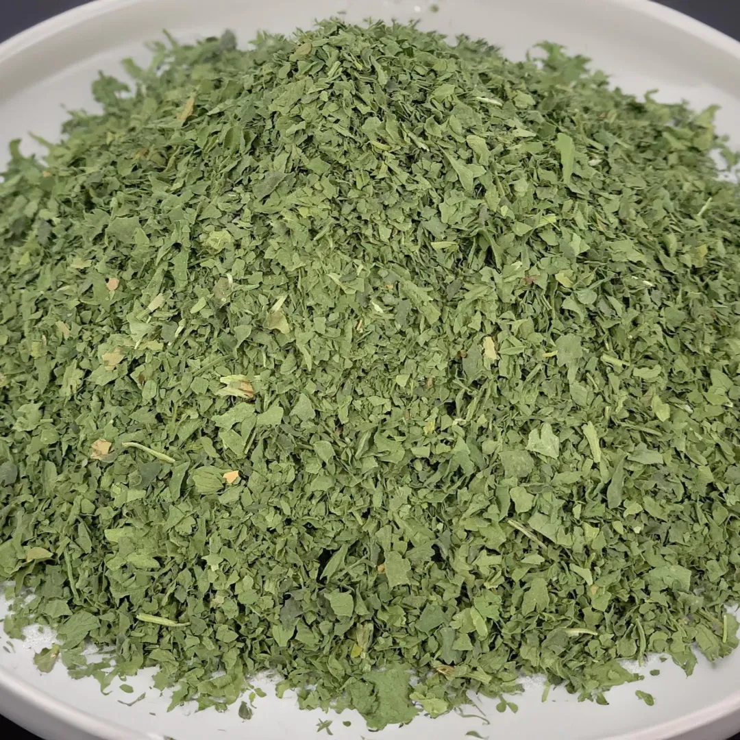 Cilantro Fresh Culinary Herb, Fresh Gourmet Spice - Case of 12 Jars