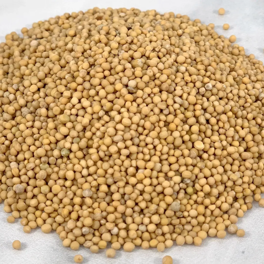 Yellow Mustard Seed, Whole for Pickling - Case of 12 Jars