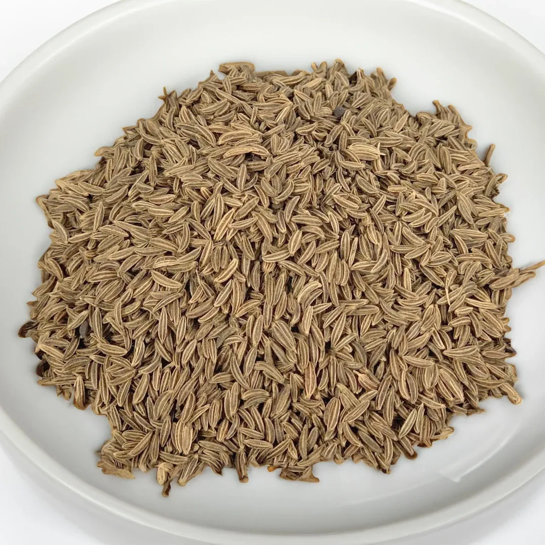Caraway Seed, Fresh Gourmet Spice - Case of 12 Jars