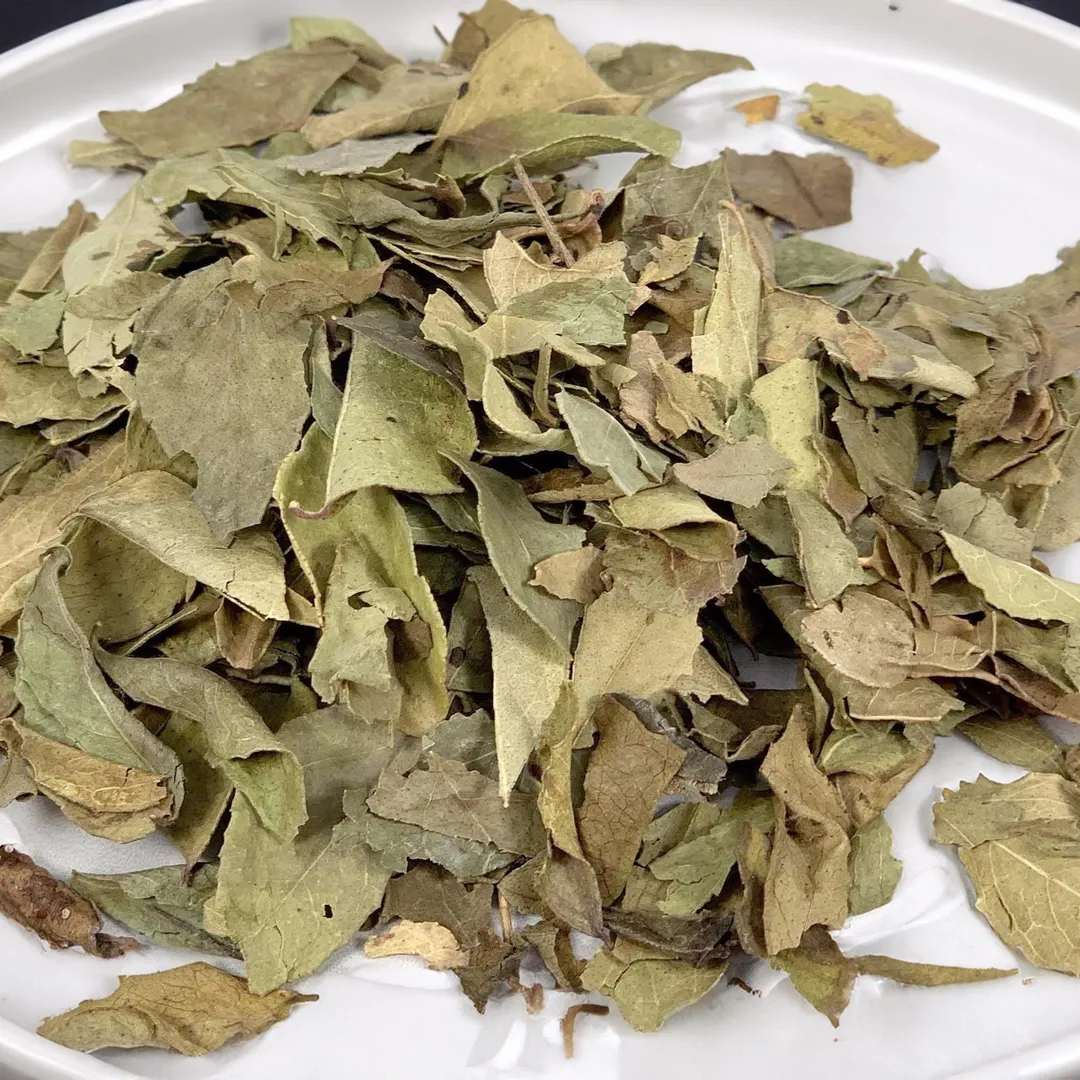 Curry Leaf, Fresh Gourmet Spice, Dried Curry Leaf Indian - Case of 12 Jars