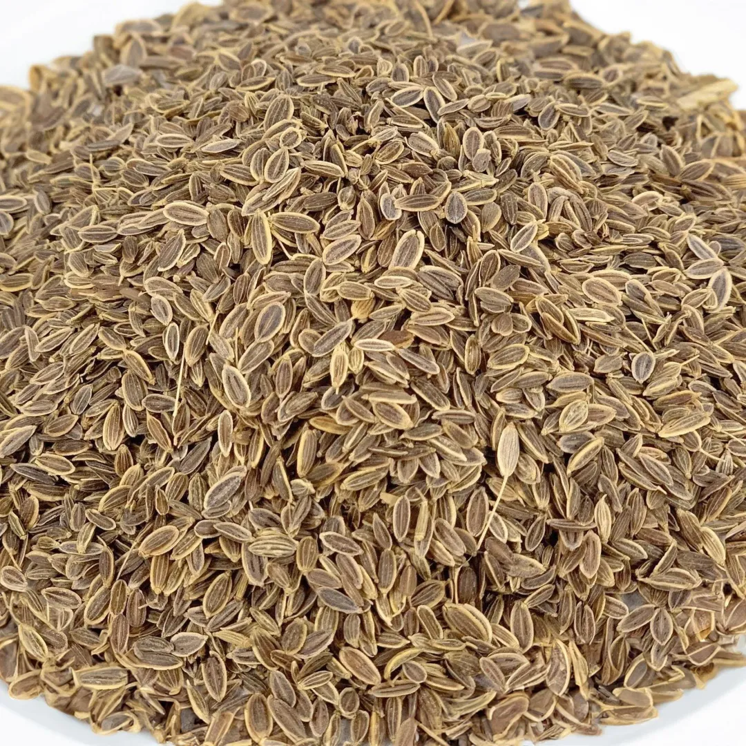 Dill Seed, Whole, Fresh Gourmet Spice for Pickle Making - Case of 12 Jars