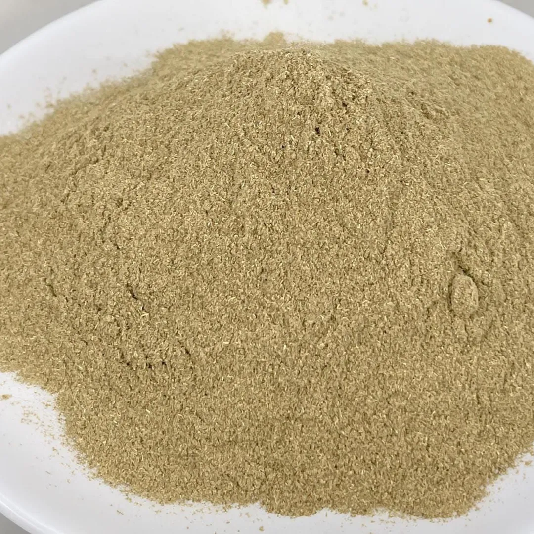 Epazote Powder, Fresh Gourmet Spice - Case of 12 Jars