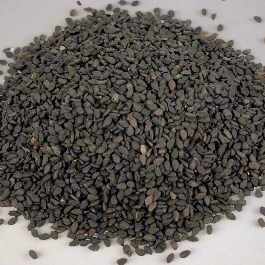 Black Sesame Seed, Fresh Gourmet Spice - Case of 12 Jars