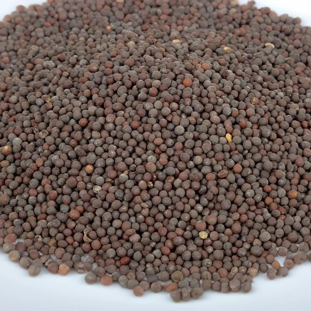 Black Mustard Seed, Whole, High Quality Dried Spice - Case of 12 Jars