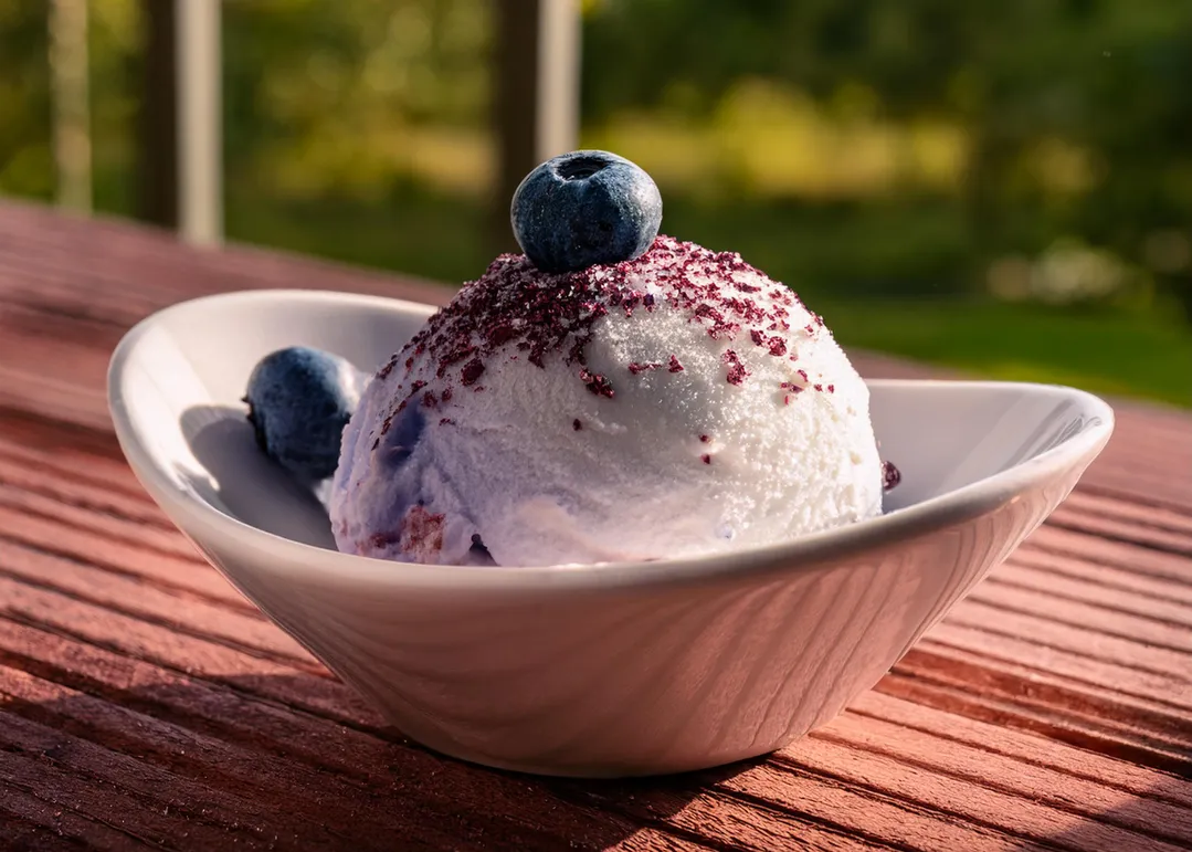 Blueberry Sugar, Gourmet Sugar for Baking & Cocktails - Bulk 5 lb. Bag  