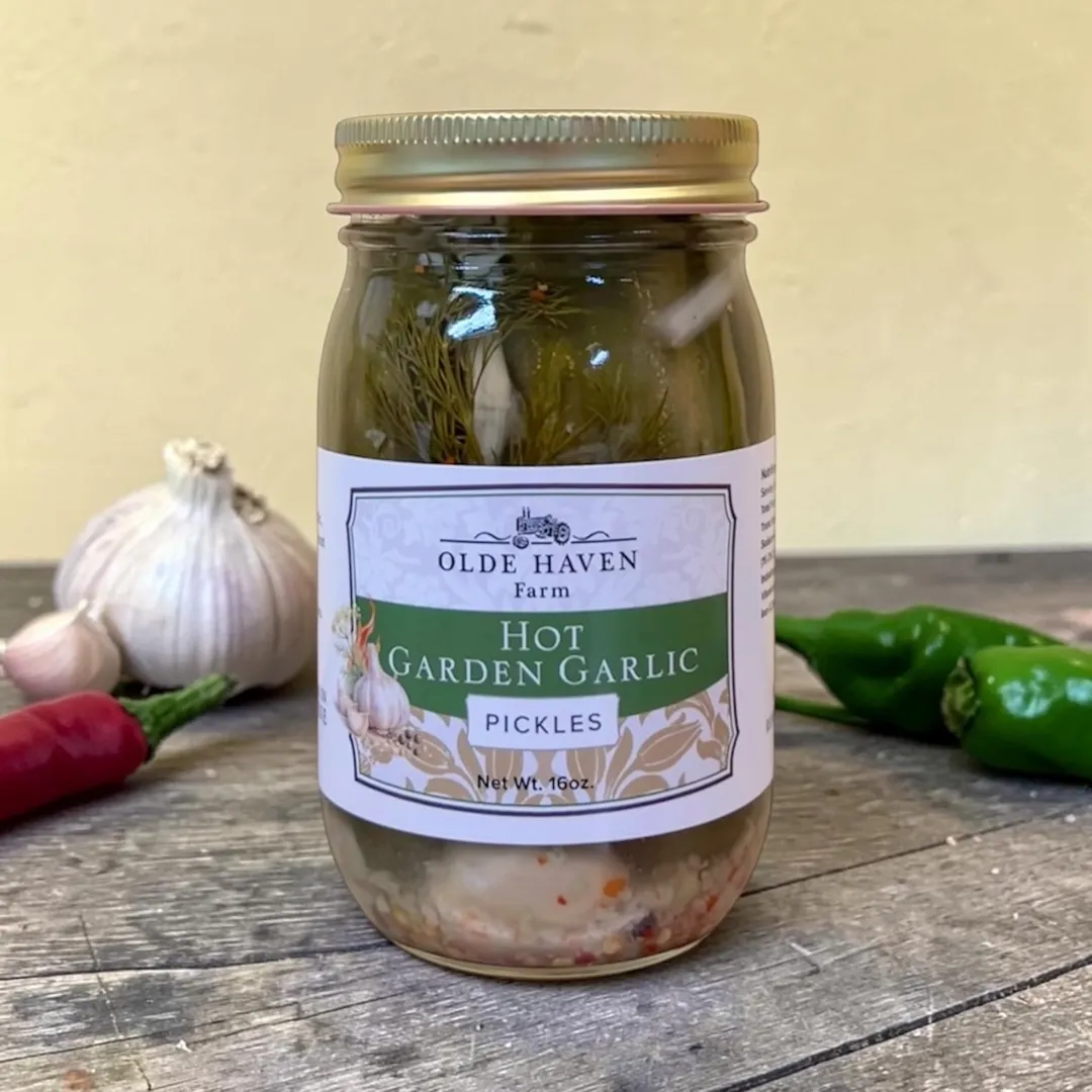 Hot Garden Garlic Pickles 16oz
