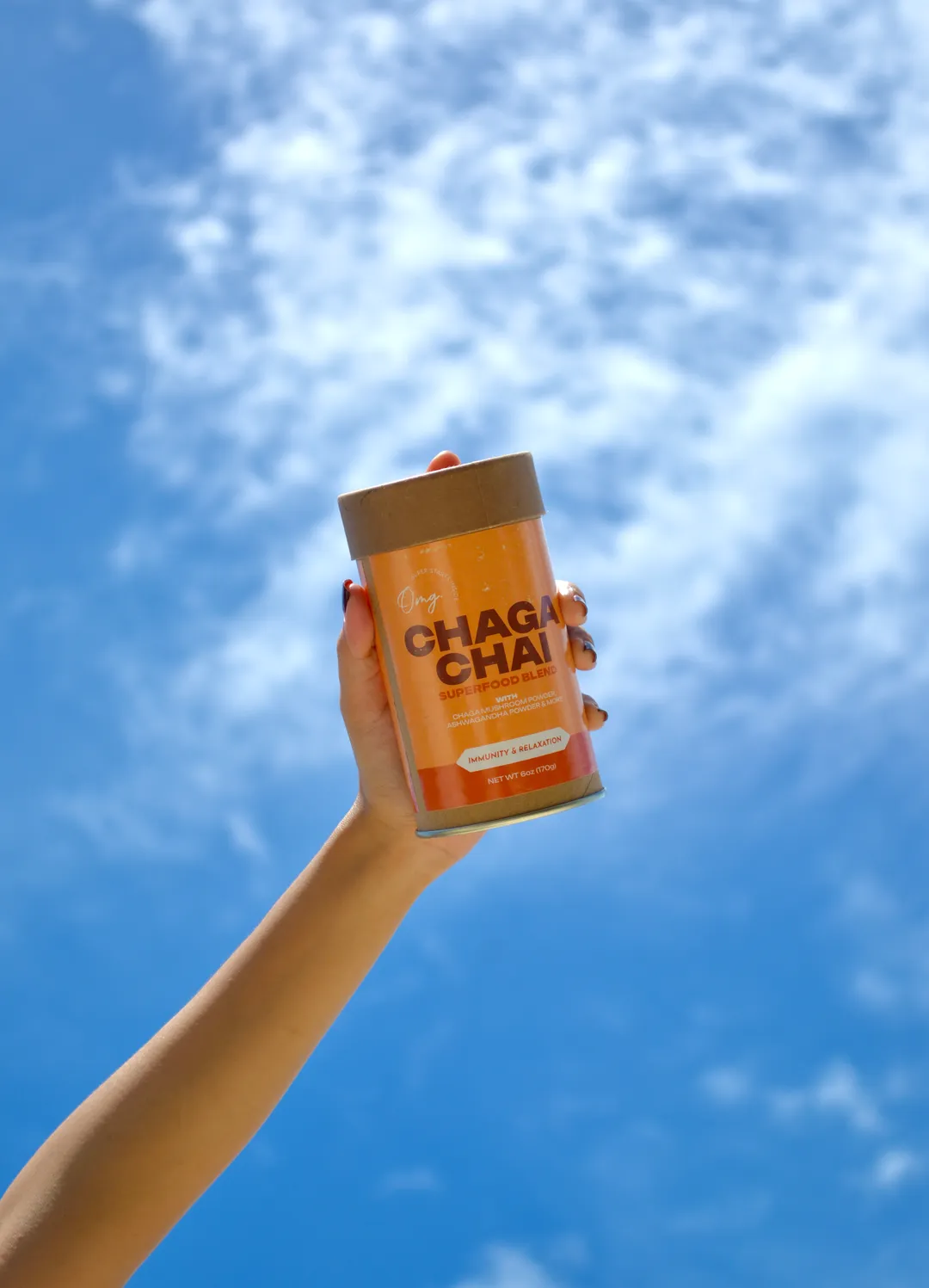 Organic Chaga Chai Superfood Blend, Functional Mushroom Chai Latte Mix, 6 oz (9 servings), Case of 6 — USDA Organic