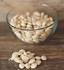 5 Pound Pail - Roasted Almonds